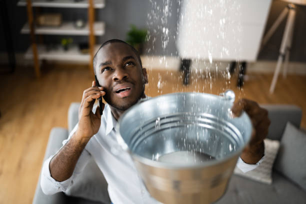 Best Carpet water damage restoration  in Fairforest, SC