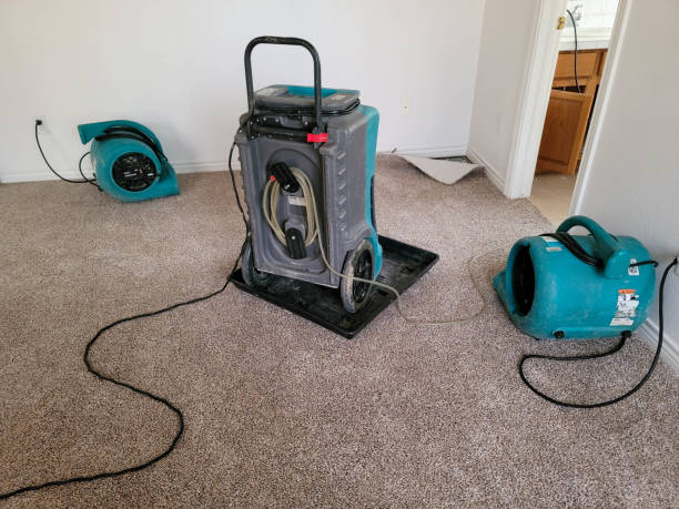 Best Water damage restoration near me  in Fairforest, SC