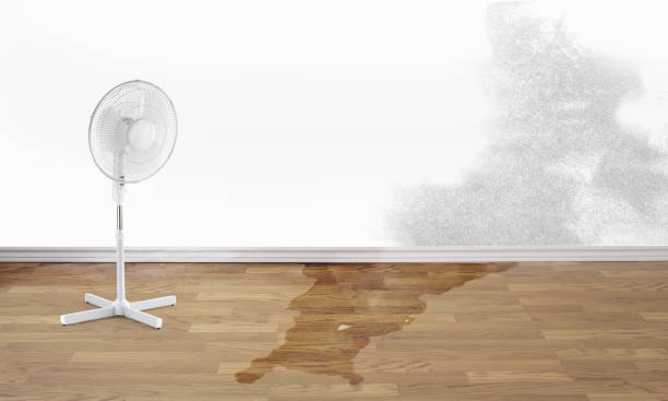 Best Water damage restoration near me  in Fairforest, SC