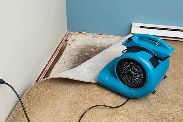 Best Water damage restoration insurance claims  in Fairforest, SC